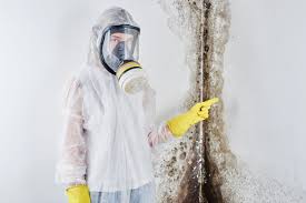 Best Residential Mold Inspection & Testing  in Potomac, MD